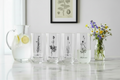 Botanical Crystal Glass Set | Celebrate Botanical Legacy of the Bauer BrotherL