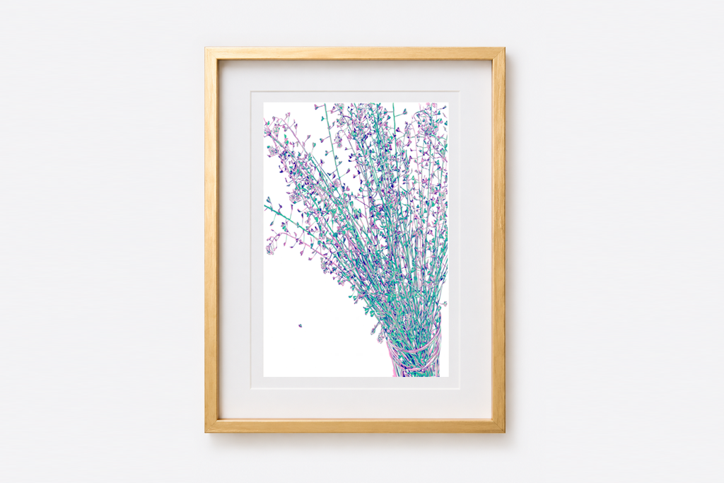"Schloss Palmenhaus" / "Zámecký skleník" 13x18
