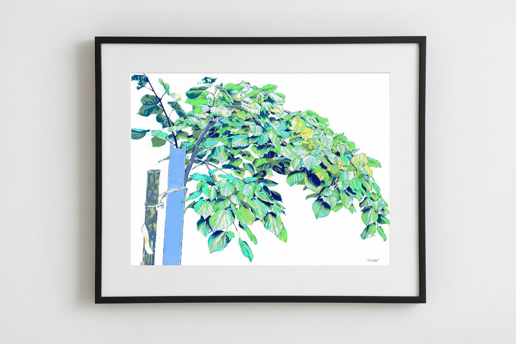 Vitali Komarov "Bohemian Linden" | Certified Art Print