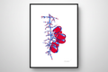 Vitali Komarov "Grape" | Certified Art Print
