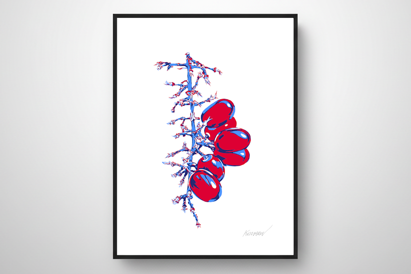 "Trauben" aus der Serie "Flowering Graphics"
