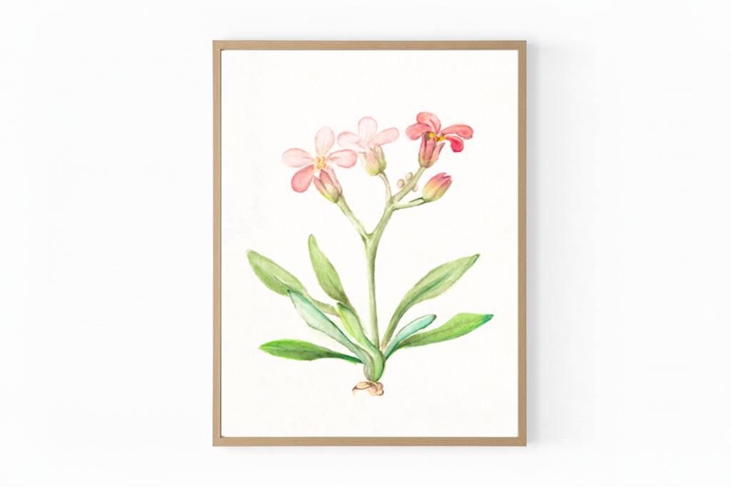 13x18 Maria Komarova Watercolor Print – "The Bauer Brothers: The Story of Three Boys from Valtice" Book Illustration