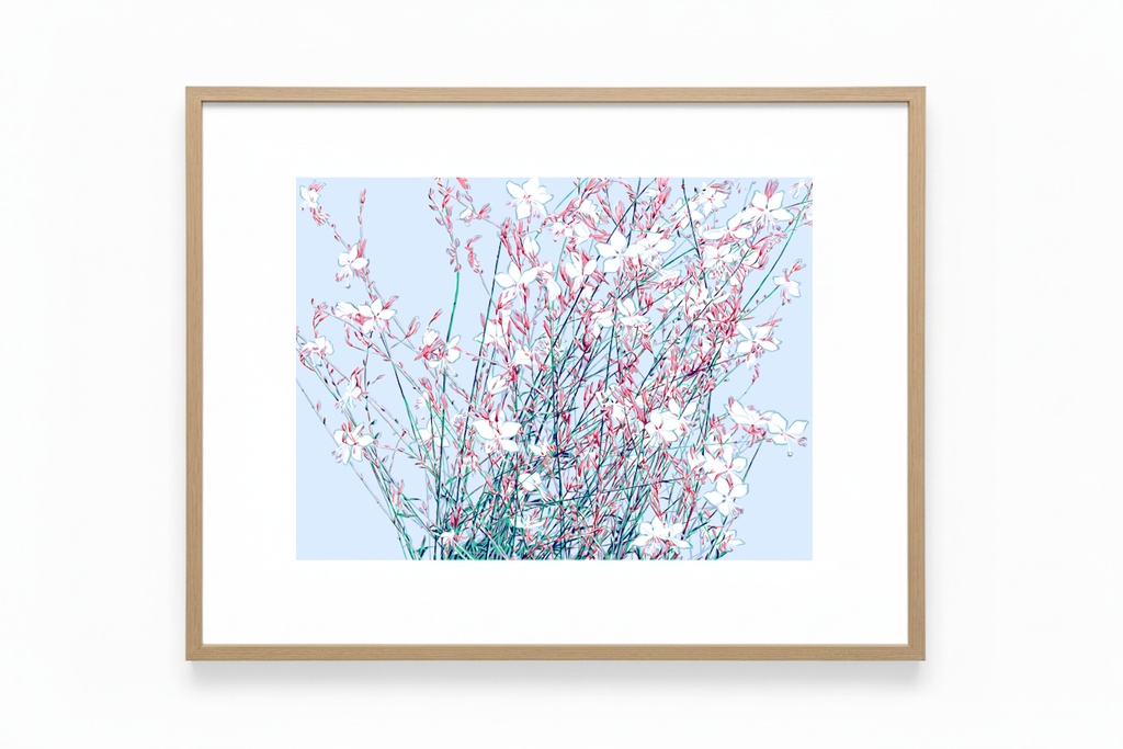 Vitali Komarov "119th Shade" - Ferdinand Bauer Tribute | Certified Art Print