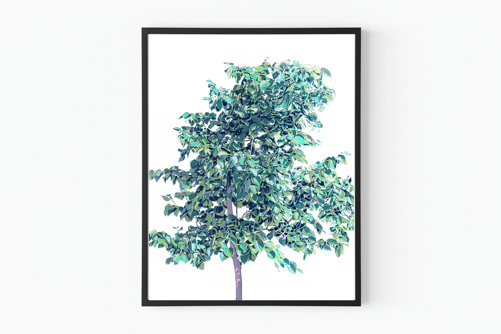 Vitali Komarov "Young Linden Tree" | Certified Art Print